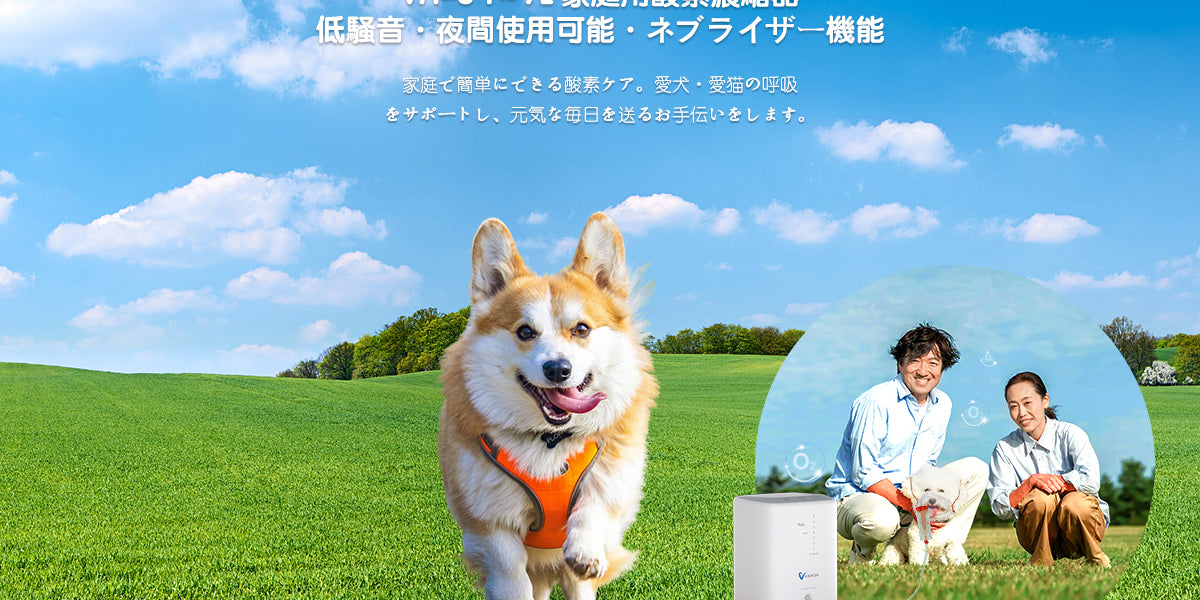 プロフェッショナル用 高品質酸素濃縮器 VARON — Varon-jp