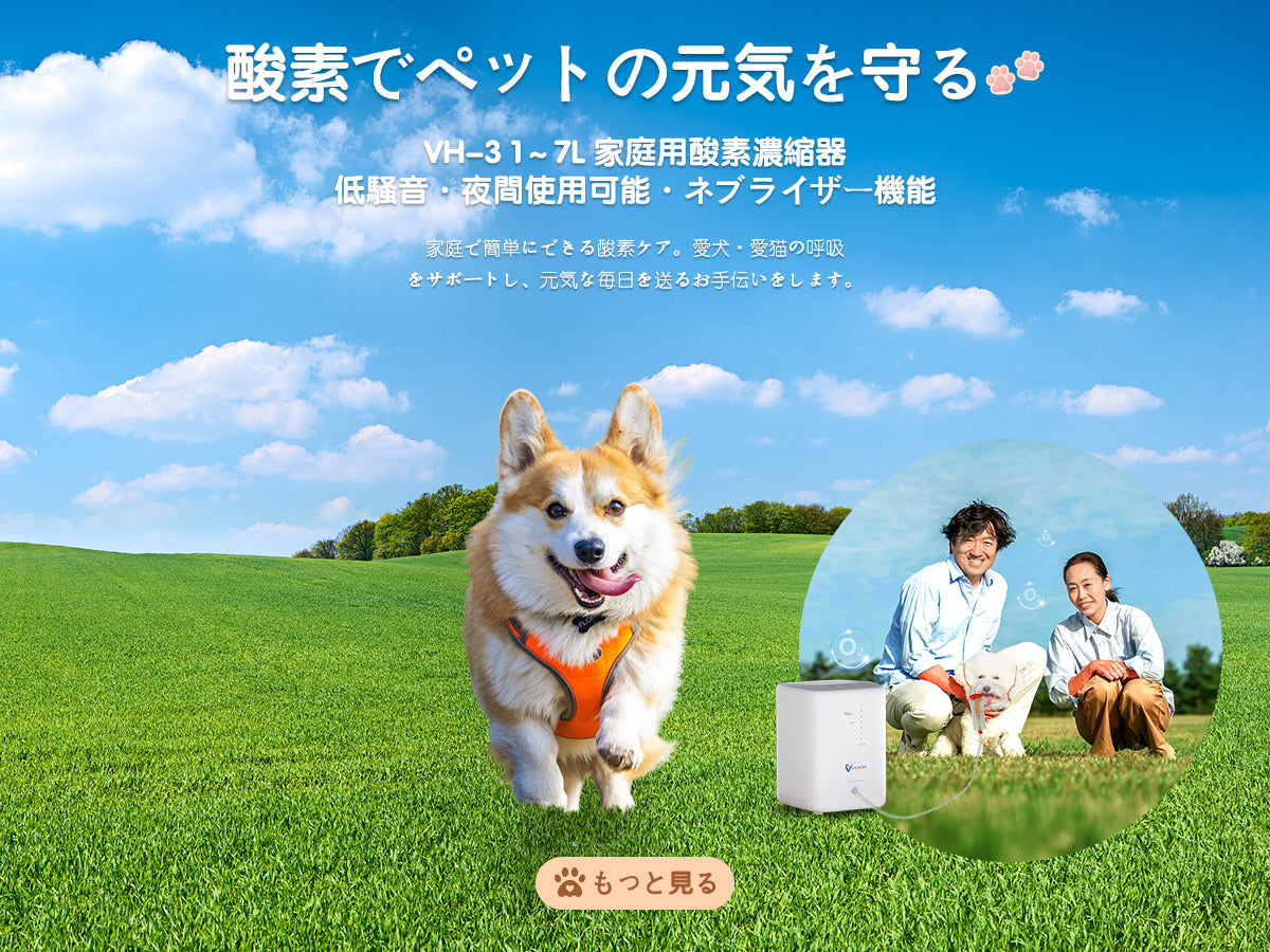 酸素濃縮器 — Varon-jp